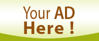 Website Advertising